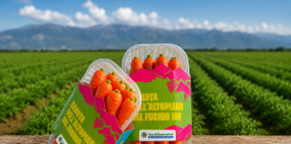 Carota del Fucino Igp, nuova referenza La Grande Bellezza Italiana