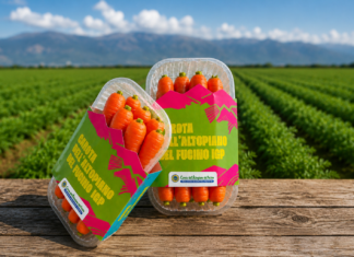 Carota del Fucino Igp, nuova referenza La Grande Bellezza Italiana