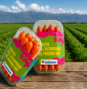 Carota del Fucino Igp, nuova referenza La Grande Bellezza Italiana