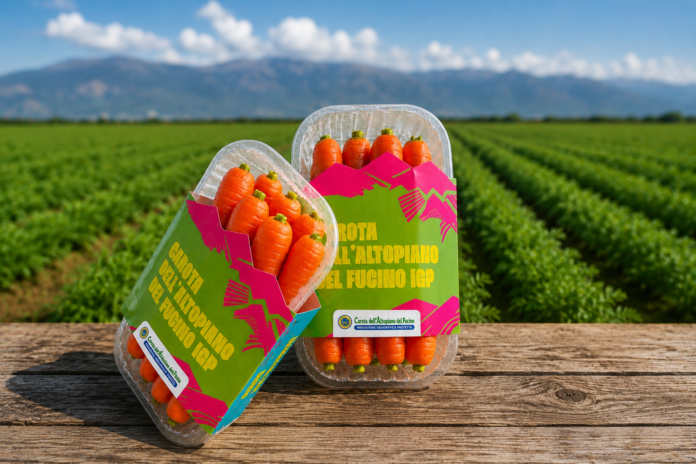 Carota del Fucino Igp, nuova referenza La Grande Bellezza Italiana