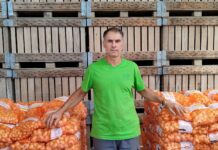 Freddi: partita la campagna della Borettana, attese 600-700 tonnellate #vocidellortofrutta Matteo Freddi, salse manager dell'azienda Freddi 1926 srl