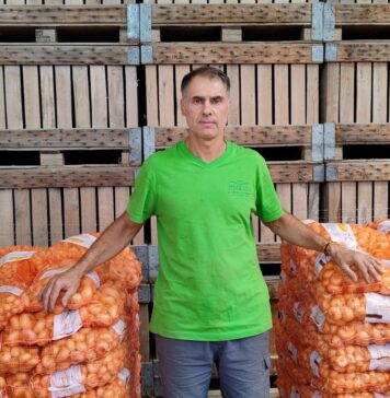 Freddi: partita la campagna della Borettana, attese 600-700 tonnellate #vocidellortofrutta Matteo Freddi, salse manager dell'azienda Freddi 1926 srl
