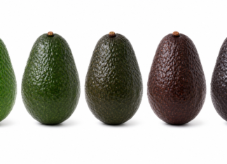 La domanda di avocado pronto al consumo ha trasformato il modo in cui il settore ortofrutticolo affronta la maturazione