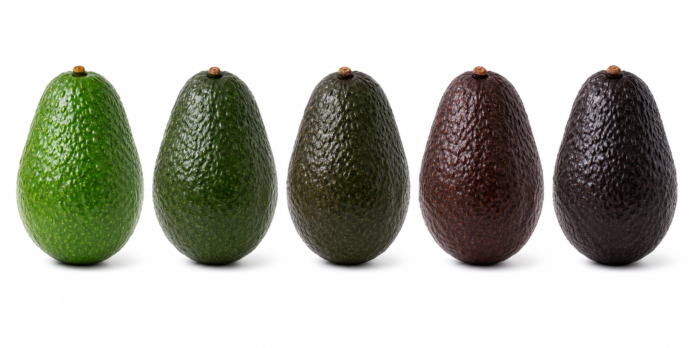 Catalytic Generators La domanda di avocado pronto al consumo ha trasformato il modo in cui il settore ortofrutticolo affronta la maturazione