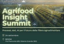 Ortofrutta e Gdo: dati, processi e AI all’Agrifood Insight Summit