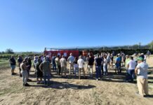 Tappa Kiwi Dulcis Field Days 2026