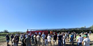 Tappa Kiwi Dulcis Field Days 2026