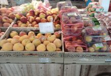 Andamento prezzi ortofrutta in Italia al 7 settembre 2026 Il cambiamento climatico continua a condizionare la borsa dell'ortofrutta