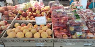 Il cambiamento climatico continua a condizionare la borsa dell'ortofrutta