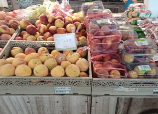 Il cambiamento climatico continua a condizionare la borsa dell'ortofrutta