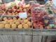 Il cambiamento climatico continua a condizionare la borsa dell'ortofrutta