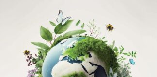Almaverde Bio è il brand del biologico