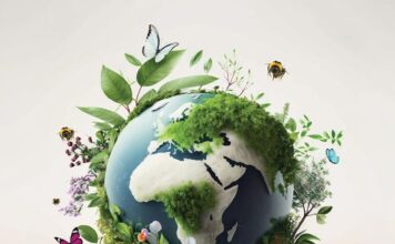 Almaverde Bio &egrave; il brand del biologico