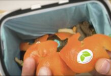 Sinclair punta sulla compostabilità delle etichette per l’ortofrutta Etichetta compostabile Sinclair