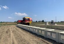 Patate, rese in calo fino al 25% nelle produzioni medio-tardive Campo patate Romagnoli