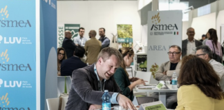 Incontri B2B Match tra buyer e produttori di uva da tavola durante l'evento LUV Fiera 2026 a Bari