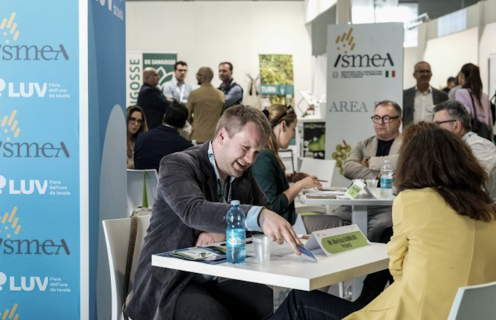 Fiera LUV 2026 B2B Incontri B2B Match tra buyer e produttori di uva da tavola durante l'evento LUV Fiera 2026 a Bari
