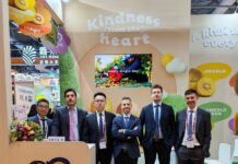 Jingold, per il kiwi giallo volumi in crescita del 20% Jingold ad Asia Fruit Logistica 2026