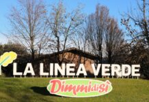 La Linea Verde, investimenti e crescita La Linea Verde sede centrrle a Manerbio (Bs)