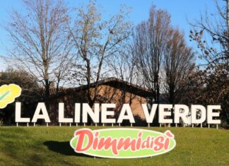 La Linea Verde sede centrrle a Manerbio (Bs)