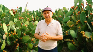 Salvatore Rapisarda, direttore del Consorzio Euroagrumi OP