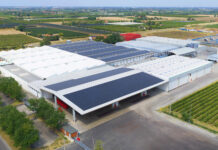 Agrintesa investe 25 milioni di euro nel polo del kiwi di Castel Bolognese
