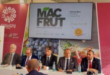 Macfrut 2027, innovazione e nuovi mercati al centro della 44esima edizione Presentazione di Macfrut 2027 a Torino