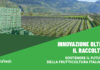 Frutteto con casse di raccolta impilate e grafica AgroFresh dedicata all'innovazione post-raccolta per la frutticoltura italiana