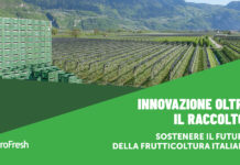 Innovazione oltre il raccolto: sostenere il futuro della frutticoltura italiana Frutteto con casse di raccolta impilate e grafica AgroFresh dedicata all'innovazione post-raccolta per la frutticoltura italiana