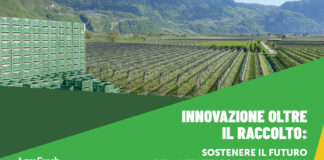 Frutteto con casse di raccolta impilate e grafica AgroFresh dedicata all'innovazione post-raccolta per la frutticoltura italiana