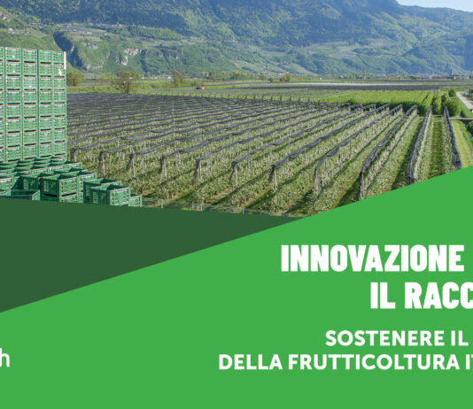Frutteto con casse di raccolta impilate e grafica AgroFresh dedicata all'innovazione post-raccolta per la frutticoltura italiana