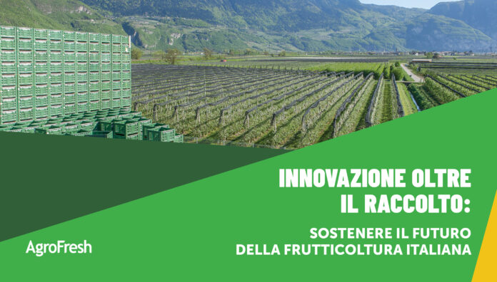 Frutteto con casse di raccolta impilate e grafica AgroFresh dedicata all'innovazione post-raccolta per la frutticoltura italiana