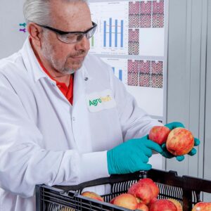 Ricercatore AgroFresh in laboratorio analizza la qualità e la maturazione delle mele per lo sviluppo di soluzioni di innovazione post-raccolta