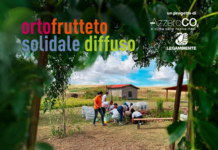 Despar Italia crea nuovi spazi di agricoltura solidale