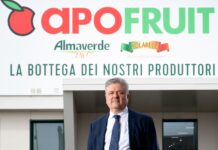 Ernesto Fornari, direttore generale della cooperativa Apofruit