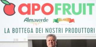 Ernesto Fornari, direttore generale della cooperativa Apofruit