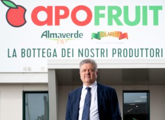 Apofruit: 30 milioni di danni al kiwi giallo in cinque giorni di blocchi Ernesto Fornari, direttore generale della cooperativa Apofruit