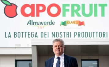 Ernesto Fornari, direttore generale della cooperativa Apofruit