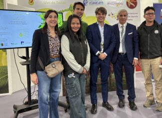 Uva da tavola italiana, la Thailandia apre le porte all’export Simona Rubbi (Cso Italy, responsabile legislazione e certificazioni), l'ispettrice thailandese, Vito Claudio Nerini (Servizio Fitosanitario Regione Puglia), Massimiliano Del Core (presidente Cut- Commissione Uva da Tavola), Giacomo Suglia (vicepresidente Fruitimprese e Presidente Apero), l'ispettore thailandese;