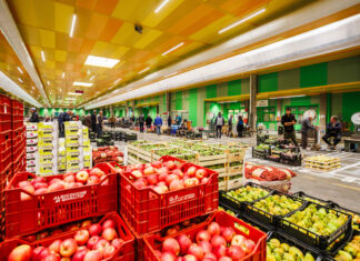 La nuova galleria del Mercato ortofrutticolo di Cesena