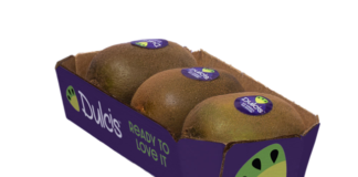 Confezione Kiwi Dulcis premium