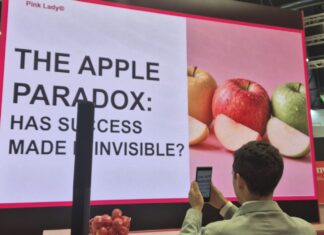 Pink Lady, come far crescere la categoria mela La presentazione della ricerca Pink Lady a Fruit Attraction