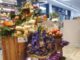 autunno ortofrutta dem 2026