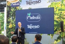 Andrea Fedrizzi, responsabile marketing di Melinda a Fruit Attraction