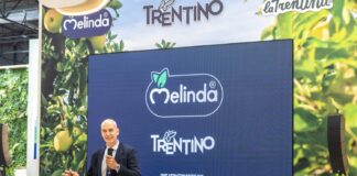 Andrea Fedrizzi, responsabile marketing di Melinda a Fruit Attraction