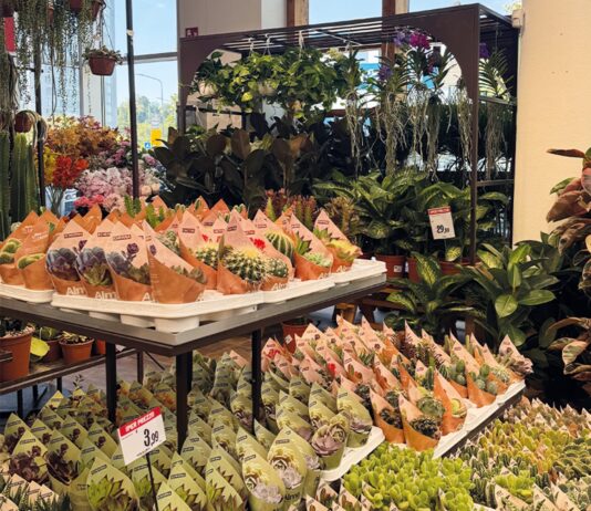 Iper La grande i rafforza il format I Fiori di Iper #Repartofresh