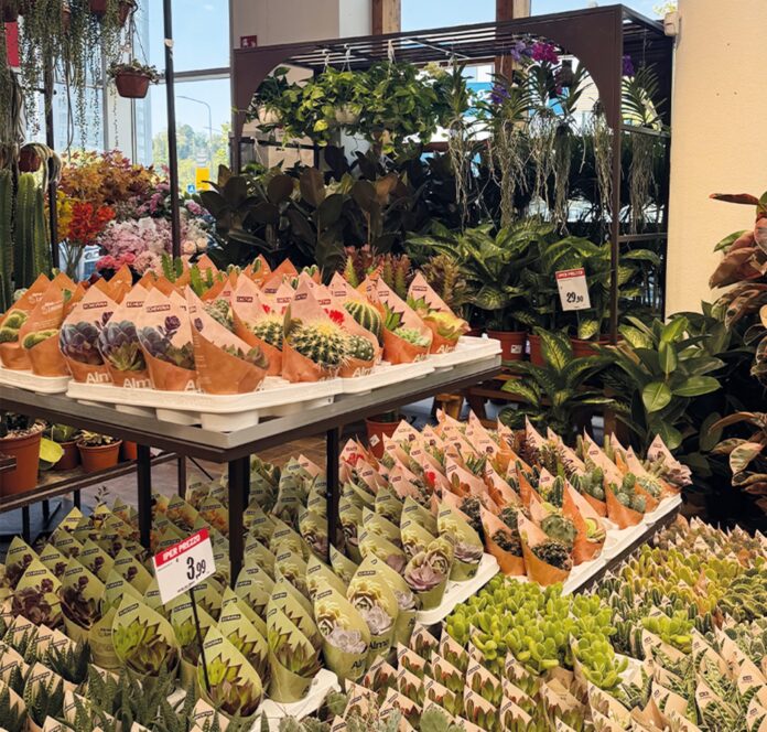 fiori iper la grande i