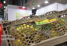 Cpr System Iberia raggiunge 17 milioni di casse movimentate in Spagna