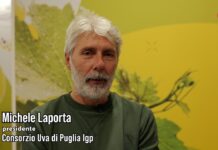 Crisi dei trasporti e innovazione varietale: le sfide dell’Uva di Puglia Igp #Luv26