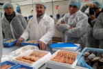 Irlanda del Nord, proposte food in private label